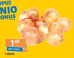E.Leclerc Cebula żółta oferta