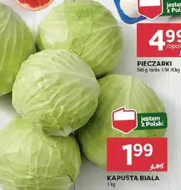 Stokrotka Kapusta biała oferta