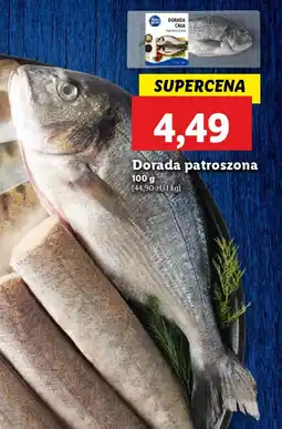 Lidl Dorada patroszona oferta