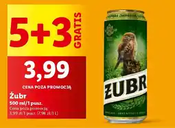 Lidl Żubr oferta