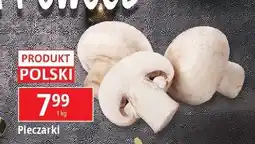 E.Leclerc Pieczarki oferta