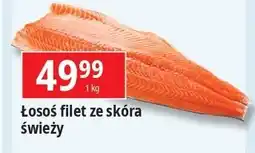 E.Leclerc Łosoś ze skórą oferta
