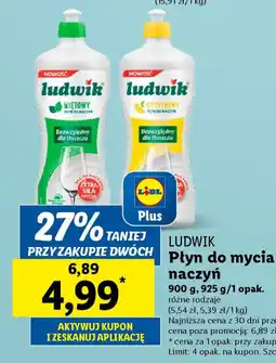 Lidl LUDWIK Płyn do mycia naczyń oferta