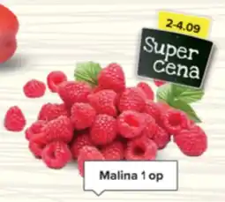 Malina