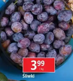 E.Leclerc Śliwki oferta