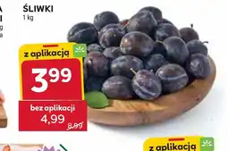 Stokrotka Śliwki oferta