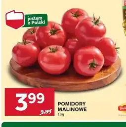 Stokrotka Pomidory Polski oferta