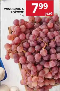 Stokrotka Winogrona oferta