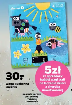 Netto Waga kuchenna Łucznik oferta
