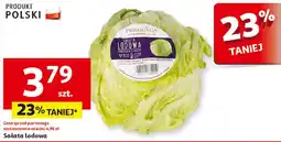 Auchan Sałata lodowa oferta