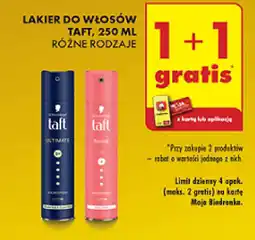 Biedronka Lakier do włosów Taft oferta