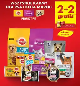 Biedronka Wszystkie karmy dla psa i kota marek Whiskas, Pedigree i Sheba oferta