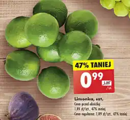 Biedronka Limonka oferta