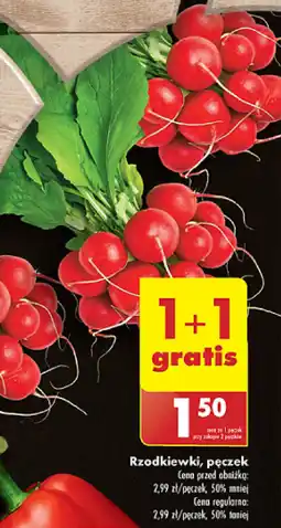 Biedronka Rzodkiewki oferta