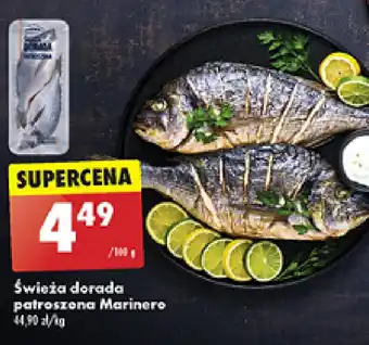 Biedronka Świeża dorada patroszona Marinero oferta