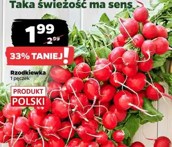 Netto Rzodkiewka oferta