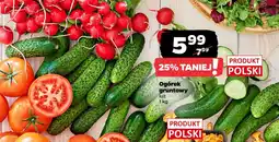 Netto Ogórek gruntowy polska oferta