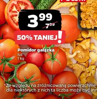 Netto Pomidory gałązka oferta