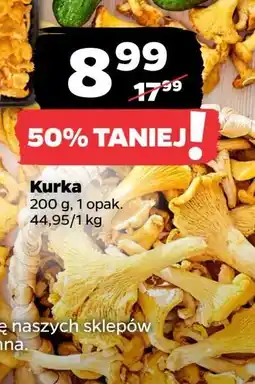 Netto Kurki oferta