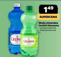 Netto Woda wysokomineralizowana Muszyna Cechini oferta