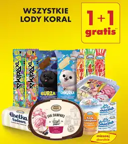 Biedronka Wszystkie lody Koral oferta