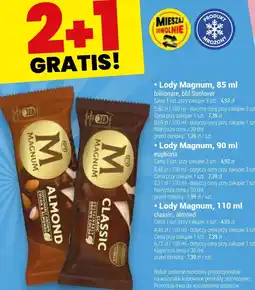 Twój Market Lody Magnum oferta