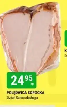 bi1 Polędwica Sopocka oferta