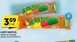 Groszek Lody Kaktus oferta
