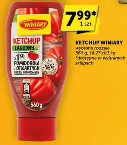 Groszek Ketchup Winiary oferta