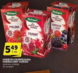 Groszek Herbata ekspresowa Herbapol oferta