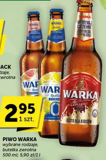 Groszek Piwo Warka oferta