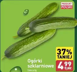 ALDI Ogórki szklarniowe oferta