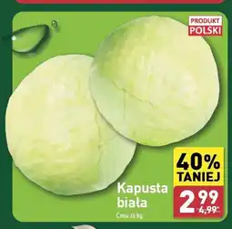 ALDI Kapusta biała polska oferta