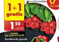 Biedronka Rzodkiewka oferta