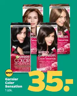 Netto Garnier Color Sensation oferta
