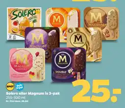 Netto Solero eller Magnum is 3-pak oferta