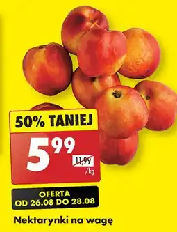 Biedronka Nektarynki oferta