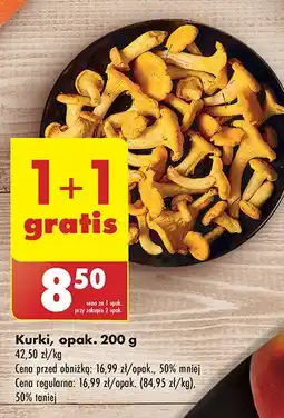 Biedronka Kurki oferta