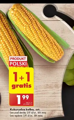 Biedronka Kukurydza oferta
