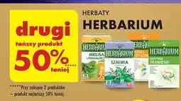 Melisa z pomarańczą Herbarium