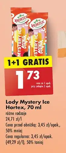 Biedronka Lód czajnik Hortex Mystery Ice oferta