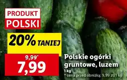 Lidl Ogórek gruntowy polska oferta