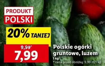 Lidl Ogórek gruntowy polska oferta