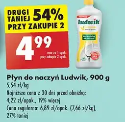 Biedronka Płyn do naczyń cytrynowy Ludwik oferta