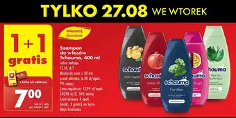 Biedronka Szampon classic Schauma For Men oferta