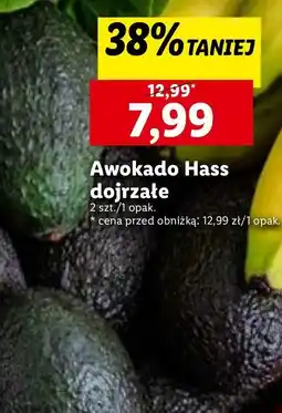Lidl Awokado hass oferta