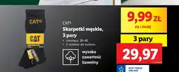Skarpety męskie 39-46 Cat