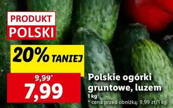 Lidl Ogórek gruntowy polska oferta