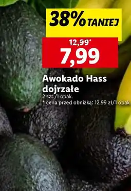 Lidl Awokado hass oferta