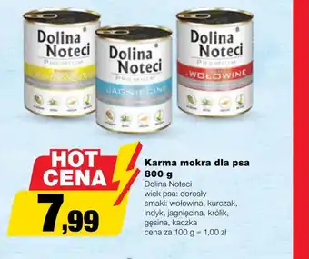 Bricomarche Karma dla psa Dolina Noteci oferta